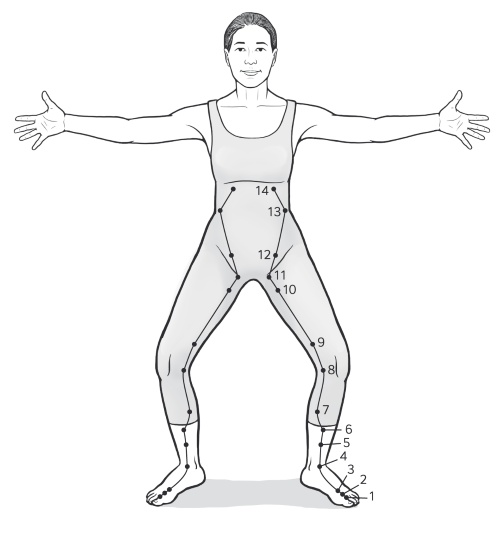 Иллюстрация к книге — Путь Ци. Энергия жизни в вашем теле. Упражнения и медитации [i_018.jpg]