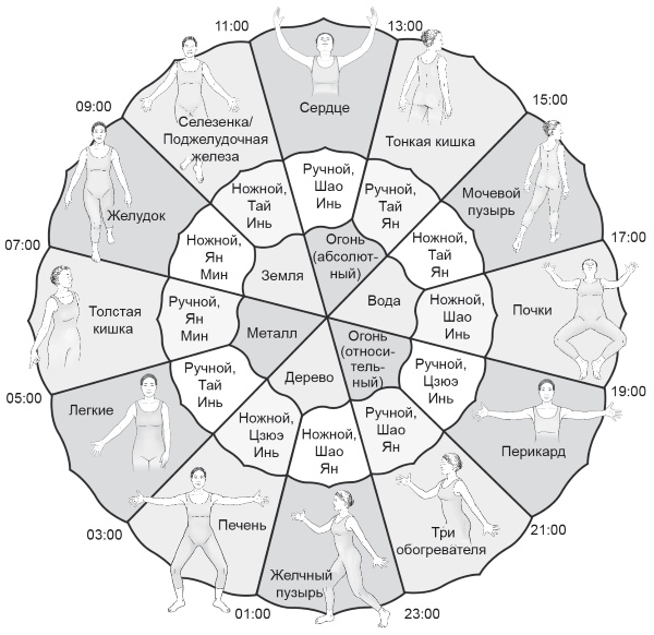 Иллюстрация к книге — Путь Ци. Энергия жизни в вашем теле. Упражнения и медитации [i_021.jpg]