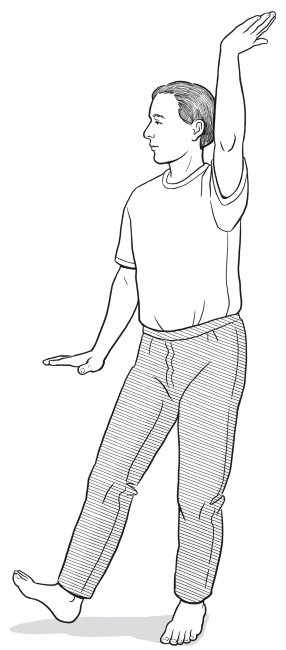 Иллюстрация к книге — Путь Ци. Энергия жизни в вашем теле. Упражнения и медитации [i_033.jpg]