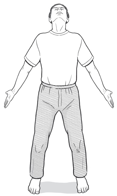 Иллюстрация к книге — Путь Ци. Энергия жизни в вашем теле. Упражнения и медитации [i_038.jpg]