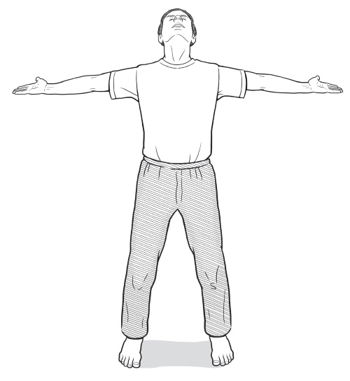 Иллюстрация к книге — Путь Ци. Энергия жизни в вашем теле. Упражнения и медитации [i_046.jpg]