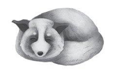 Иллюстрация к книге — Хвостатые истории. Советы по воспитанию собак, лисиц, песцов и других животных [i_003.jpg]