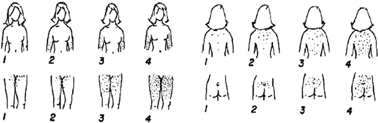 Иллюстрация к книге — Я – женщина. Все о женском здоровье, контрацепции, гормонах и многом другом [i_002.jpg]