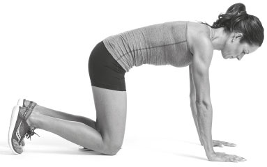 Иллюстрация к книге — Триатлон для занятых людей [i_052.jpg]