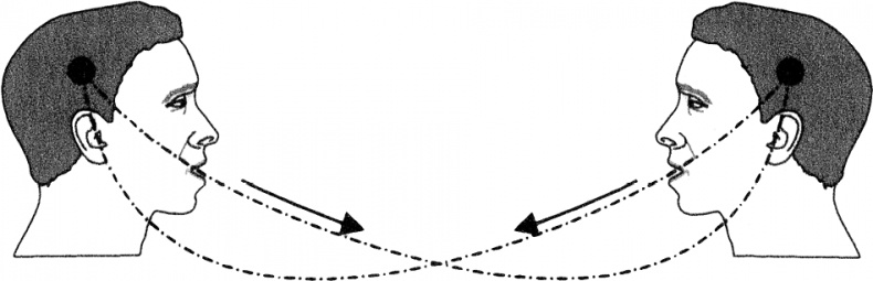 Иллюстрация к книге — Что за рыбка в вашем ухе? [i_037.jpg]