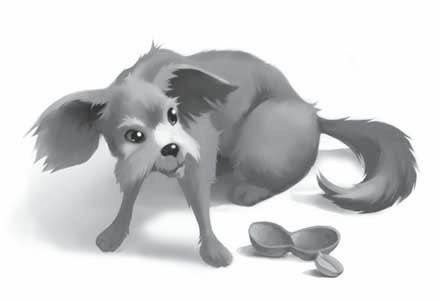 Иллюстрация к книге — Айван, единственный и неповторимый [i_006.jpg]