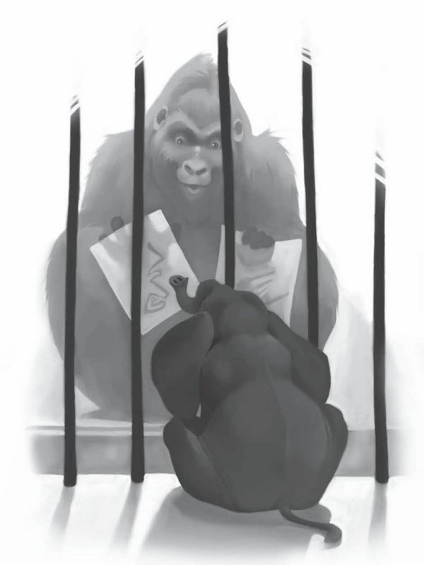 Иллюстрация к книге — Айван, единственный и неповторимый [i_011.jpg]