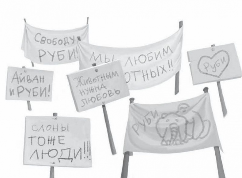 Иллюстрация к книге — Айван, единственный и неповторимый [i_025.jpg]