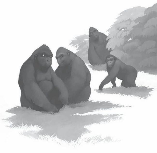 Иллюстрация к книге — Айван, единственный и неповторимый [i_029.jpg]