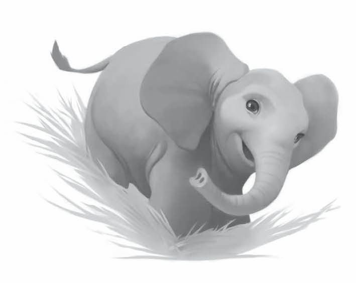 Иллюстрация к книге — Айван, единственный и неповторимый [i_031.jpg]