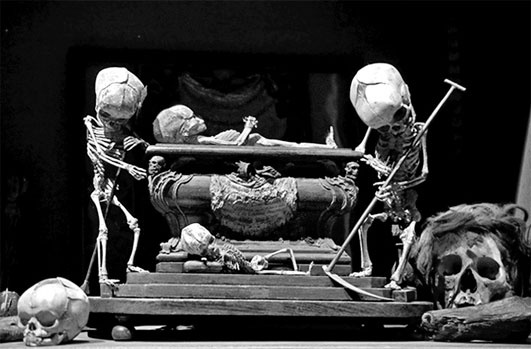 Иллюстрация к книге — Фредерик Рюйш и его дети. Гид по ранним коллекциям Кунсткамеры [i_009.jpg]