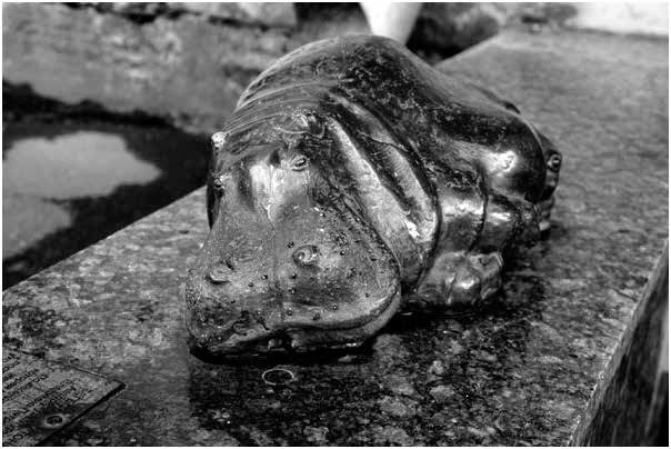 Иллюстрация к книге — Мифы о призраках. Путеводитель по мистическому Петербургу [i_046.jpg]