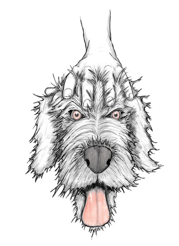 Иллюстрация к книге — Опоссум по имени Апельсинка [i_012.jpg]