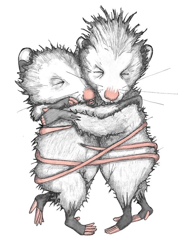 Иллюстрация к книге — Опоссум по имени Апельсинка [i_017.jpg]