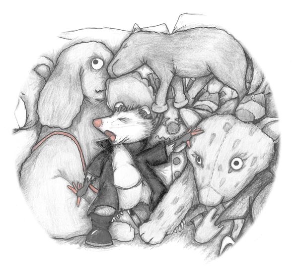 Иллюстрация к книге — Опоссум по имени Апельсинка [i_020.jpg]