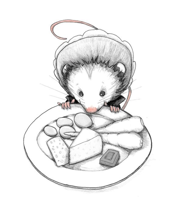 Иллюстрация к книге — Опоссум по имени Апельсинка [i_022.jpg]