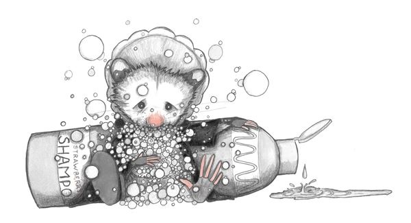 Иллюстрация к книге — Опоссум по имени Апельсинка [i_023.jpg]