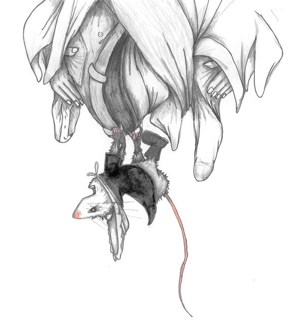 Иллюстрация к книге — Опоссум по имени Апельсинка [i_024.jpg]