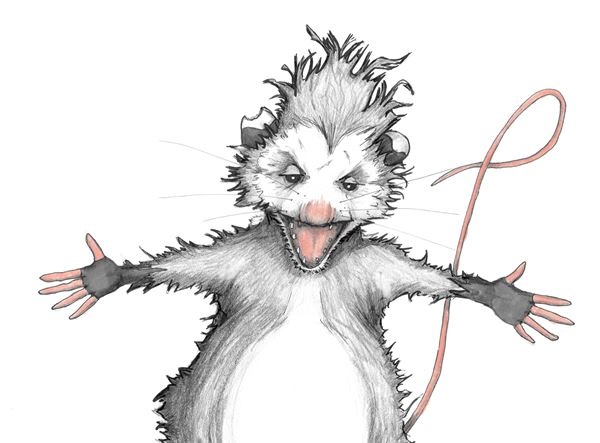 Иллюстрация к книге — Опоссум по имени Апельсинка [i_029.jpg]