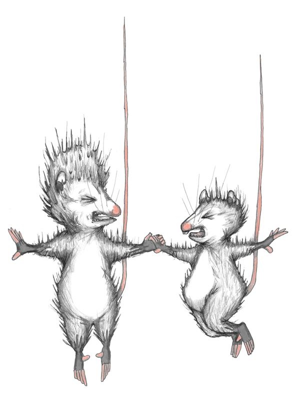 Иллюстрация к книге — Опоссум по имени Апельсинка [i_032.jpg]