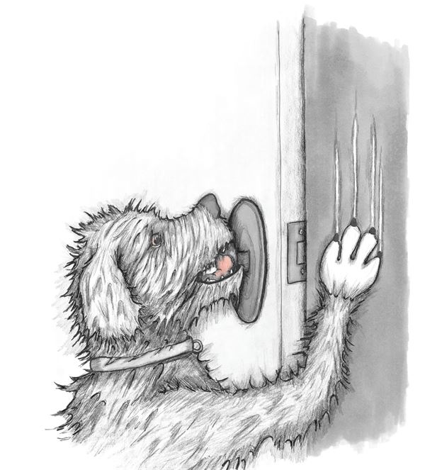 Иллюстрация к книге — Опоссум по имени Апельсинка [i_036.jpg]