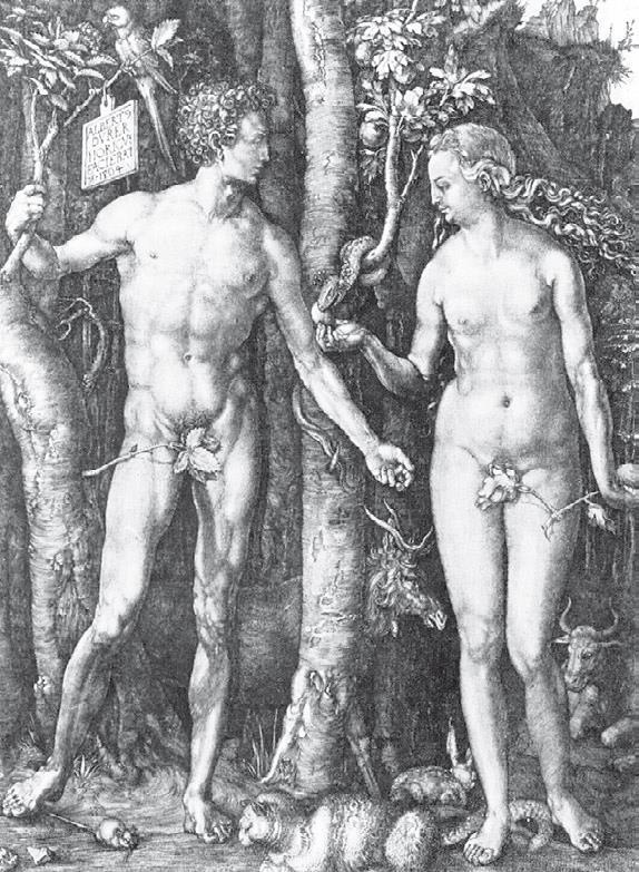 Иллюстрация к книге — Альбрехт Дюрер. Дневники и письма [i_003.jpg]