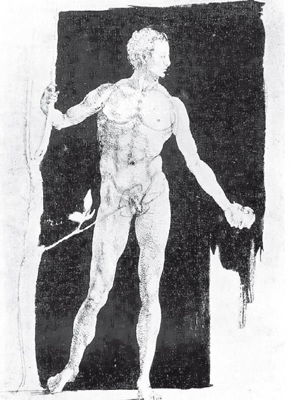 Иллюстрация к книге — Альбрехт Дюрер. Дневники и письма [i_004.jpg]