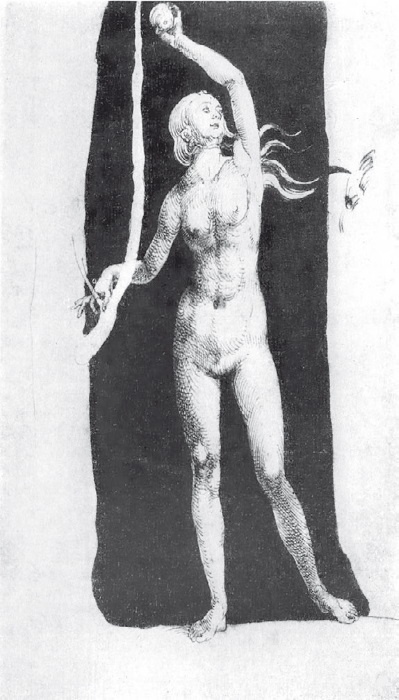 Иллюстрация к книге — Альбрехт Дюрер. Дневники и письма [i_006.jpg]