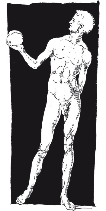 Иллюстрация к книге — Альбрехт Дюрер. Дневники и письма [i_012.jpg]