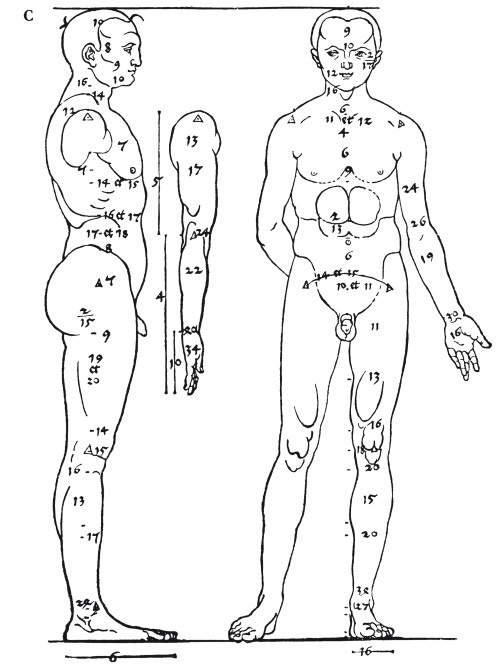 Иллюстрация к книге — Альбрехт Дюрер. Дневники и письма [i_065.jpg]