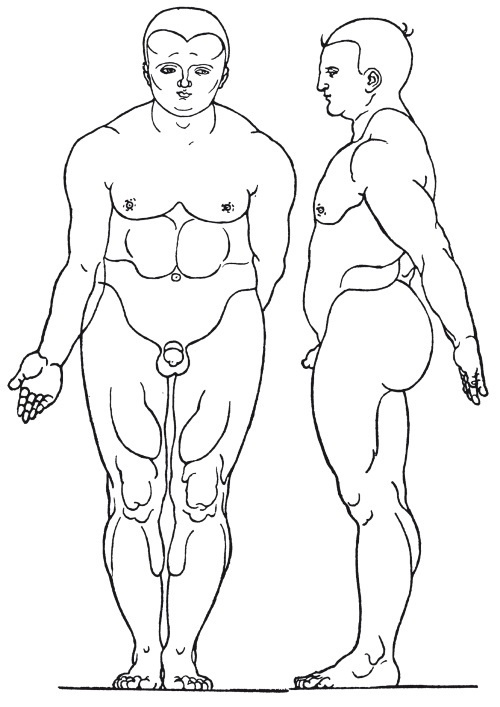 Иллюстрация к книге — Альбрехт Дюрер. Дневники и письма [i_089.jpg]