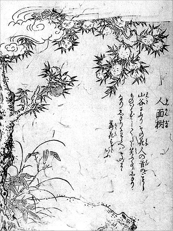 Иллюстрация к книге — Японская нечисть. Ёкай и другие [_038.jpg]