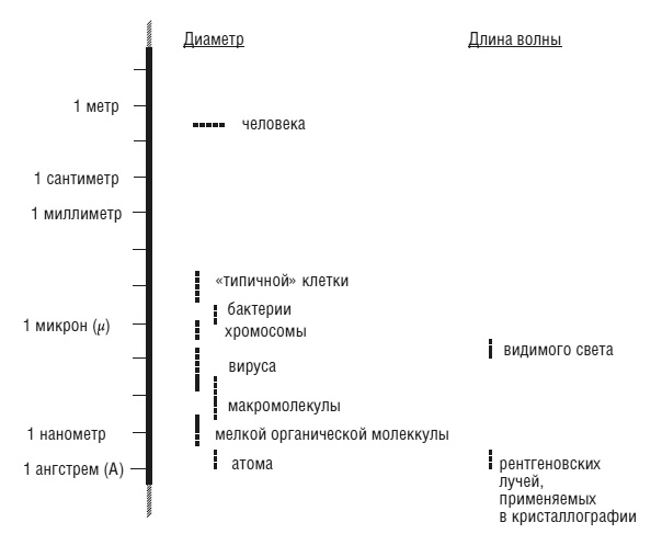 Иллюстрация к книге — Что за безумное стремленье! [i_001.jpg]