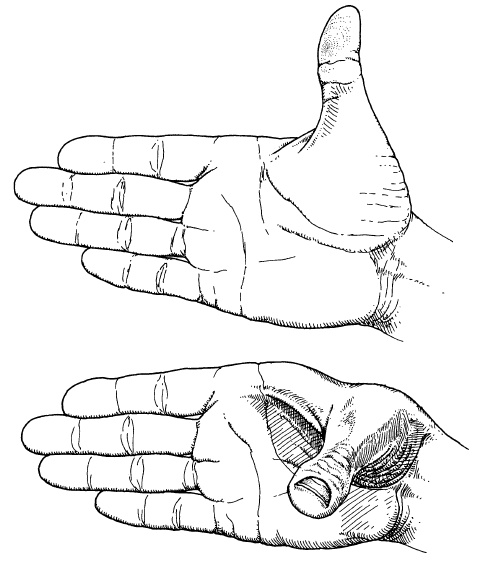 Иллюстрация к книге — Что за безумное стремленье! [i_002.jpg]