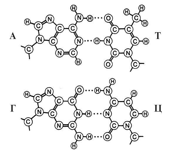 Иллюстрация к книге — Что за безумное стремленье! [i_009.jpg]
