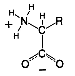 Иллюстрация к книге — Что за безумное стремленье! [i_012.jpg]