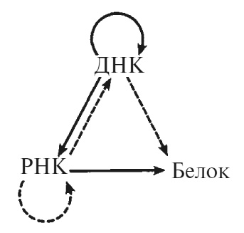 Иллюстрация к книге — Что за безумное стремленье! [i_013.jpg]