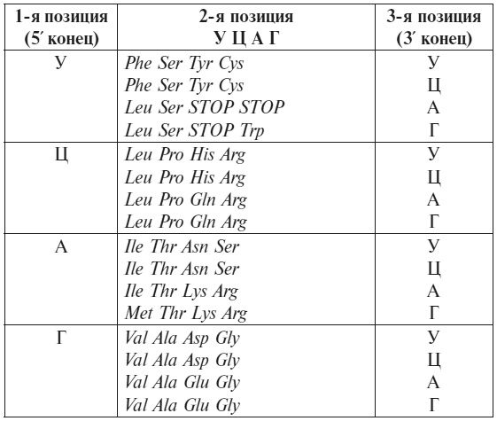 Иллюстрация к книге — Что за безумное стремленье! [i_014.jpg]