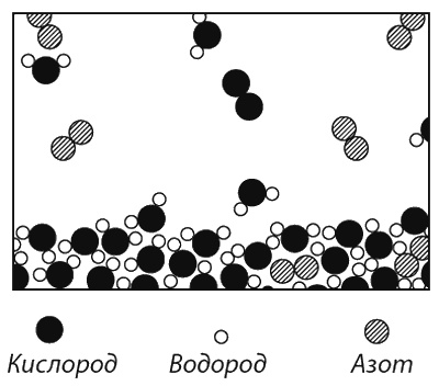 Иллюстрация к книге — Фейнмановские лекции по физике. Современная наука о природе [i_005.jpg]