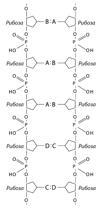 Иллюстрация к книге — Фейнмановские лекции по физике. Современная наука о природе [i_015.jpg]