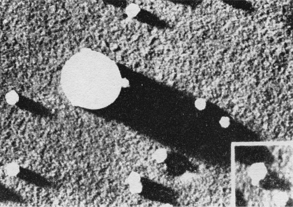 Иллюстрация к книге — Фейнмановские лекции по физике. Современная наука о природе [i_038.jpg]