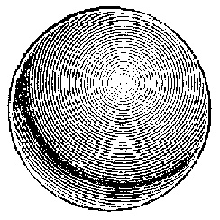 Иллюстрация к книге — Жизнь замечательных устройств [img_249.jpg]
