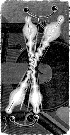 Иллюстрация к книге — Жизнь замечательных устройств [img_44.jpg]