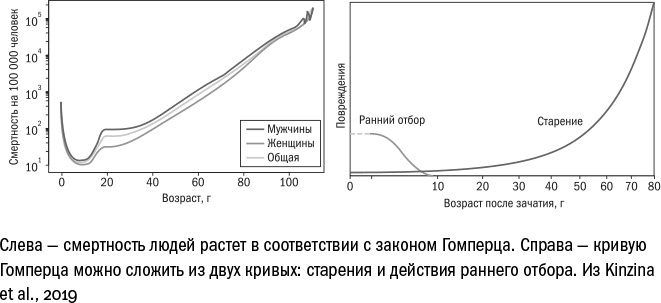 Иллюстрация к книге — Против часовой стрелки [i_007.jpg]