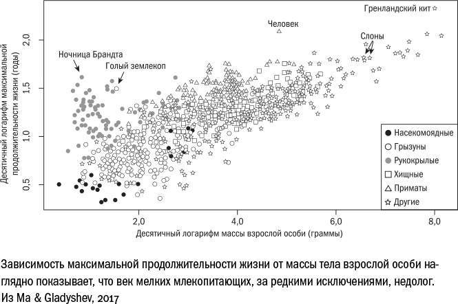 Иллюстрация к книге — Против часовой стрелки [i_016.jpg]