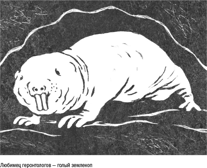 Иллюстрация к книге — Против часовой стрелки [i_018.jpg]