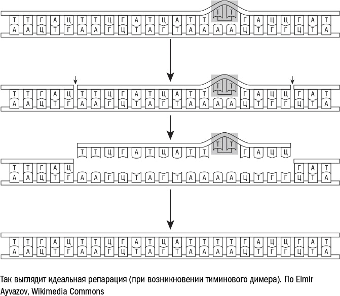 Иллюстрация к книге — Против часовой стрелки [i_028.jpg]