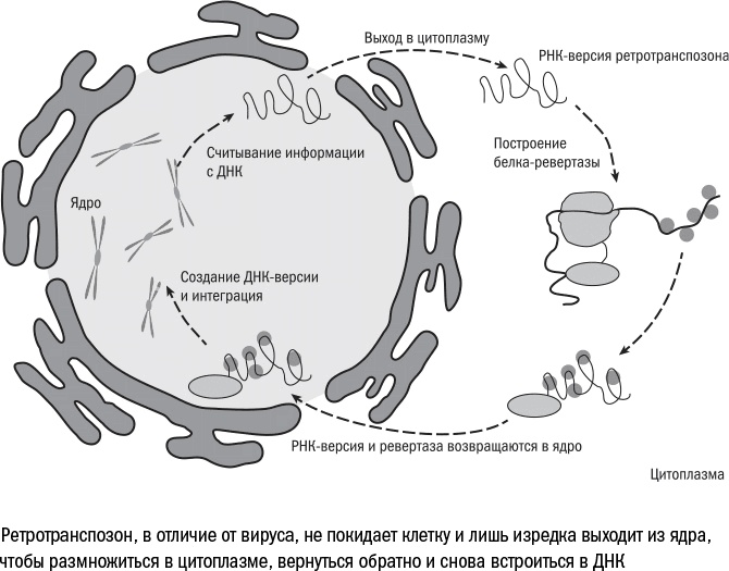 Иллюстрация к книге — Против часовой стрелки [i_032.jpg]