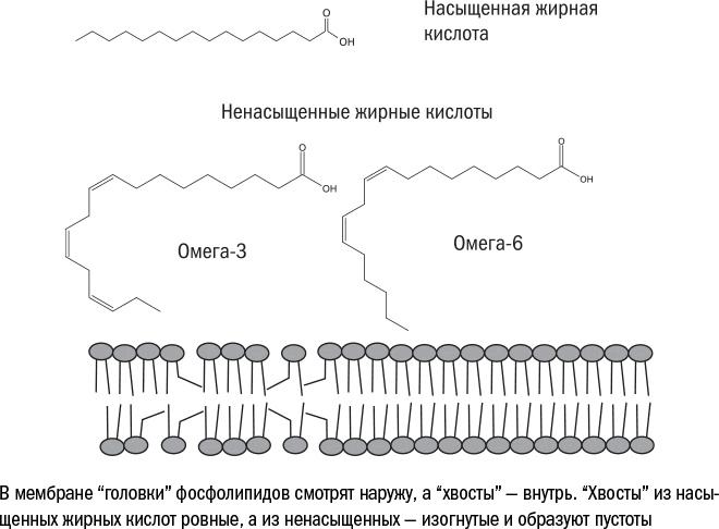 Иллюстрация к книге — Против часовой стрелки [i_034.jpg]