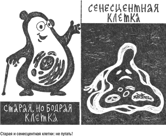 Иллюстрация к книге — Против часовой стрелки [i_037.jpg]